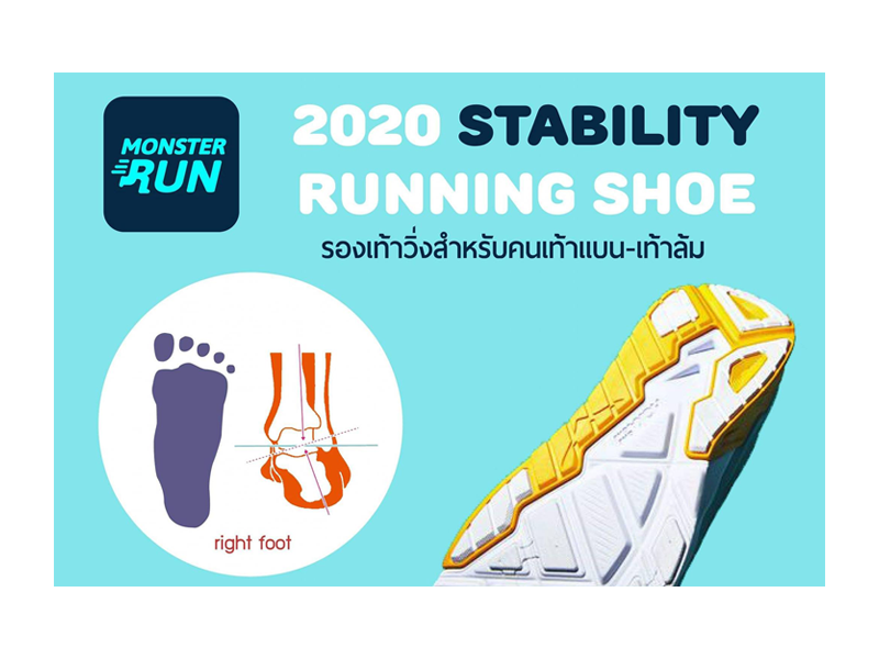 Stability Running Shoes